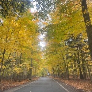 Meet your Posher, Rosanna